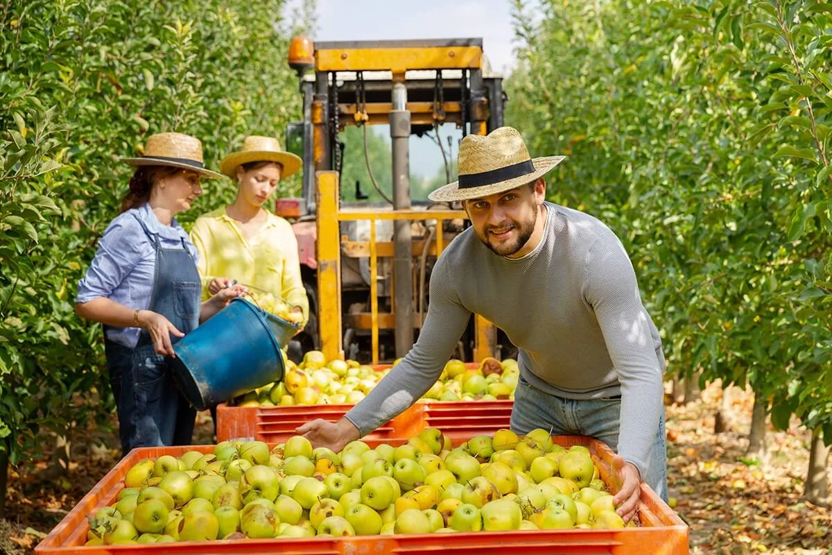 Formación para la campaña de la fruta ante la COVID-19