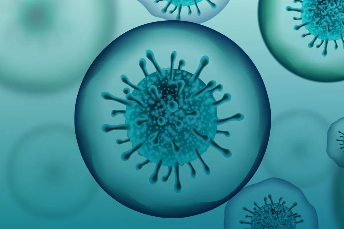 Espacio web informativo sobre el nuevo coronavirus SARS-CoV-2