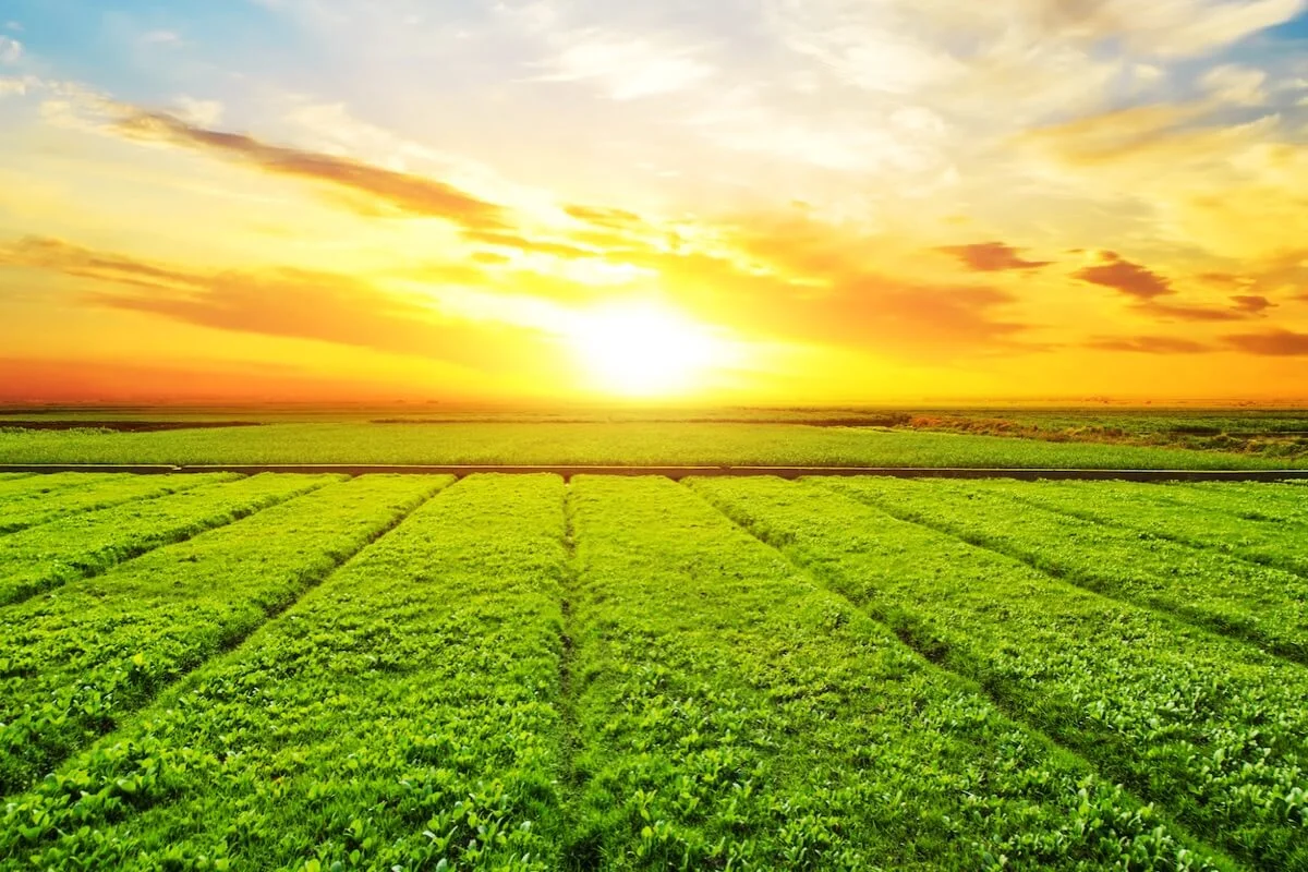 Consejos para protegerse del sol en el trabajo