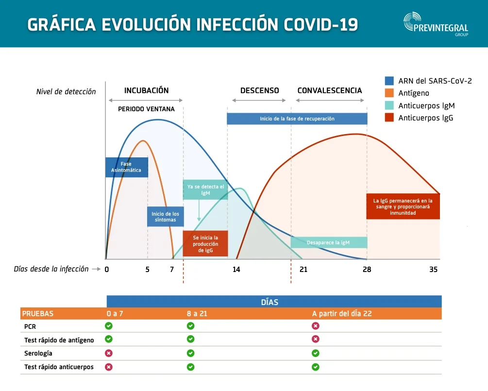 Gráfica Evolución Infección Covid-19